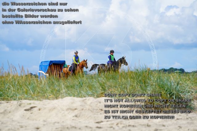 s_K3F05196.JPG